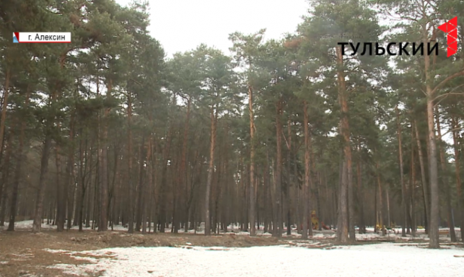 Алексинский парк «Жалка» претендует на президентский грант