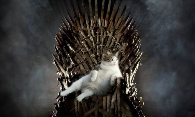 Туляков приглашают на «Игру престолов»