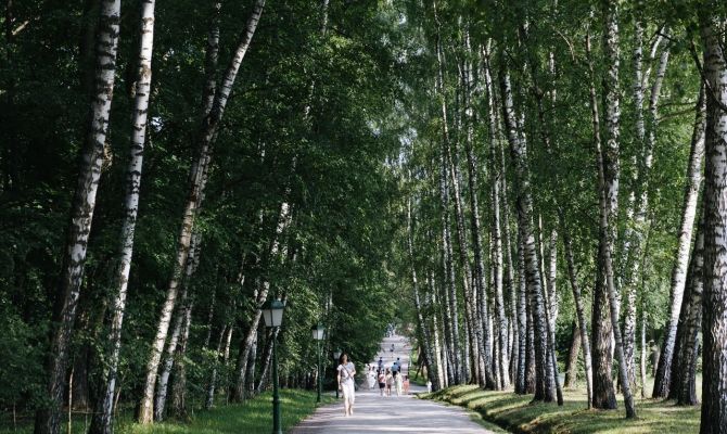 Организаторы фестиваля "Толстой" прокомментировали "обрушение" сайта при продаже билетов