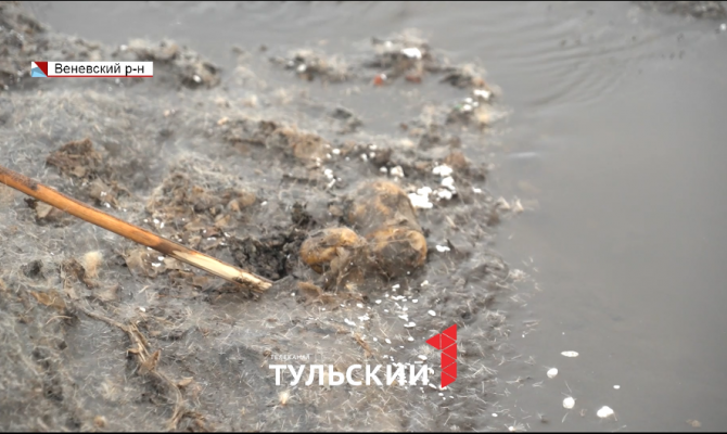 Картофельный завод в Веневском районе оштрафовали за загрязнение реки