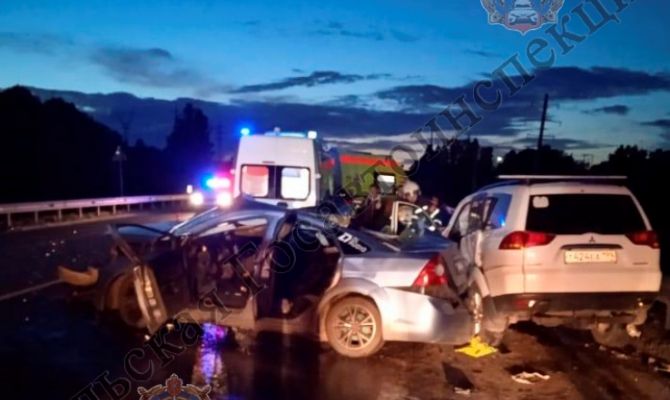 Стали известны подробности ДТП на Калужском шоссе в Туле, причиной которого стала лиса