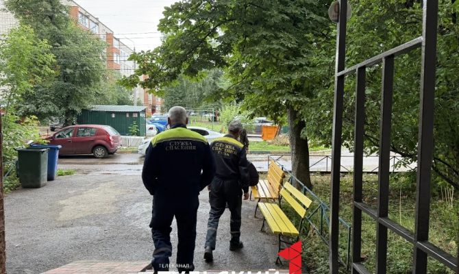 Застрявшего в 9-этажке на улице Ложевой кота спасли
