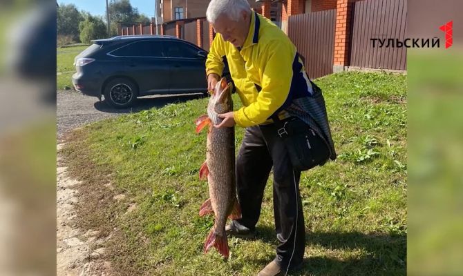 Туляк поймал щуку-гиганта: до машины улов тащили волоком