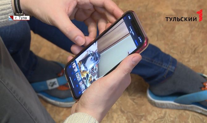 У туляков после стерилизации умер кот: кто ответит за гибель животного 