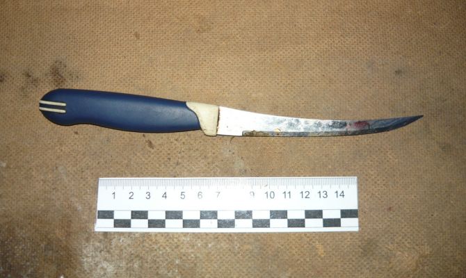 В Туле женщина разбила бутылку об голову мужа, когда он напал на нее с ножом