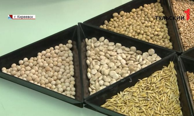 Какие семена считаются лучшими для посадки