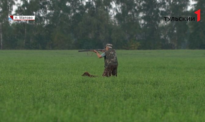 В Тульской области стартовал сезон охоты: какие документы нужно иметь, чтобы отправиться за добычей