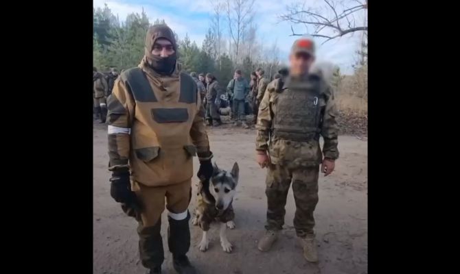 "Самый ответственный защитник": мобилизованный туляк отправился на службу вместе с верным псом