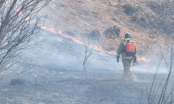 В Тульской области действует особый противопожарный режим: какие правила нужно соблюдать