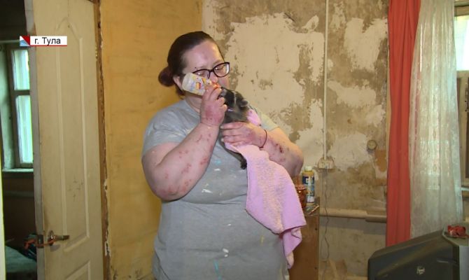 Туляки могут помочь пятерым енотам обрести новый дом