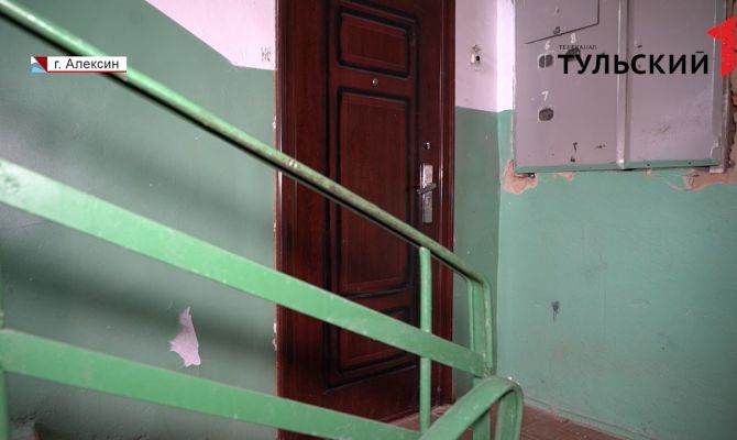 Жительница Алексина превратила свою квартиру в приют для 20 собак и кошек