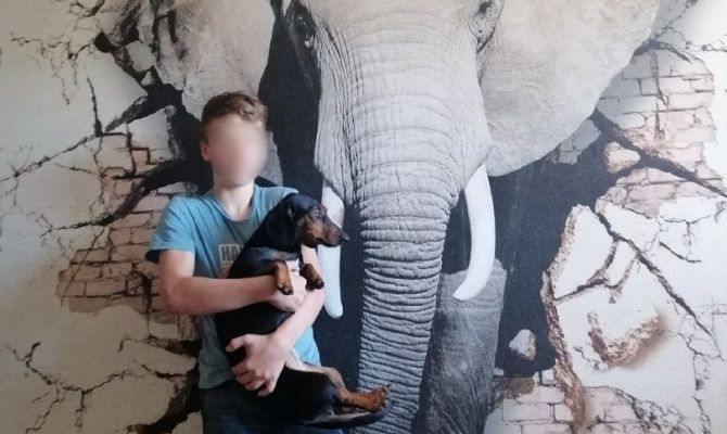 Выпавший из окна 15-летний туляк подвергся травле в соцсетях: интернет-тролля ищут следователи