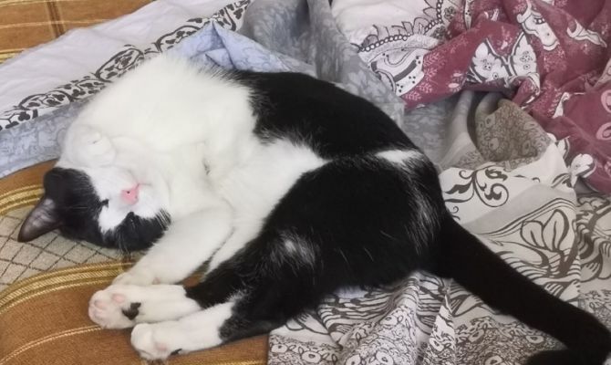 Врач рассказал о самых опасных позах для сна