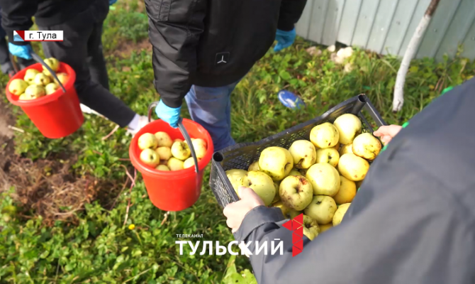 В Алексине современные «тимуровцы» объединились для помощи пенсионерам и инвалидам