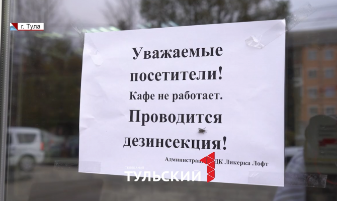 Туляков предупредили о крысах в шаурмичных