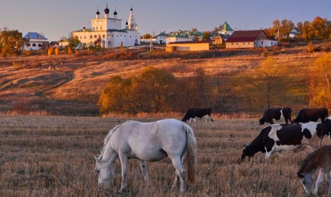 Новый туристический маршрут свяжет Оптину пустынь с Тулой
