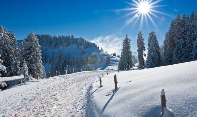 Тулякам рассказали о встрече солнца с зимой