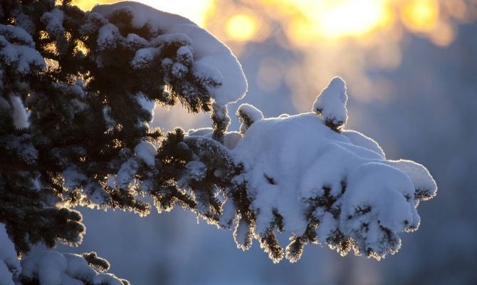 Психологи рассказали, как пережить нехватку солнца зимой