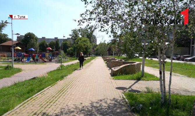 В одном из тульских скверов исчезают березы