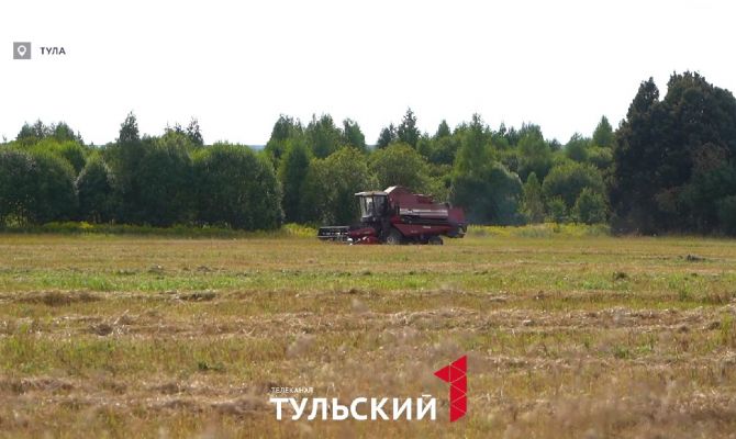 Тульские аграрии показали полный цикл сбора рапса