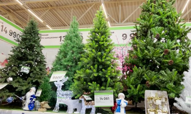 Тулякам может грозить уголовная ответственность за срубленную в лесу елку