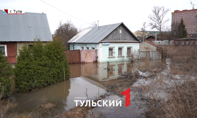 Кошки ловят рыбу прямо в огороде: в Туле из берегов вышла река Воронка