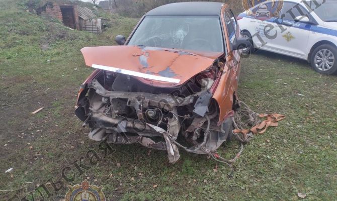 В Кимовском районе автомобиль врезался в дерево: пострадала 23-летняя пассажирка