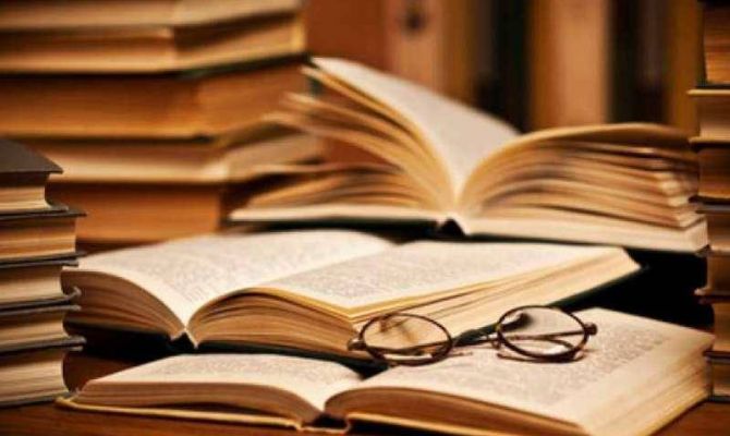 Как в Туле отпразднуют День библиотек