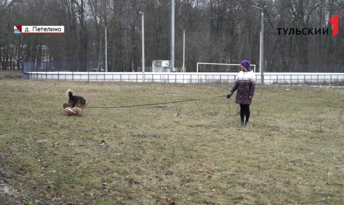 В Тульской области проснулись клещи