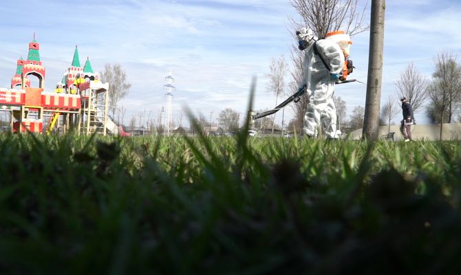 Тульские врачи рассказали, можно ли самостоятельно определить «заразность» клеща