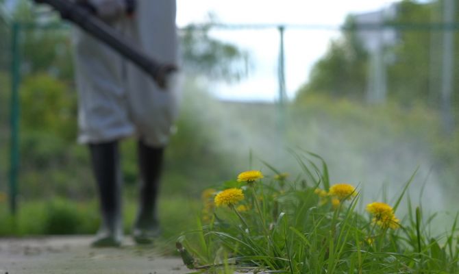 От обработки до вакцинации: как тулякам защитить себя от клещей