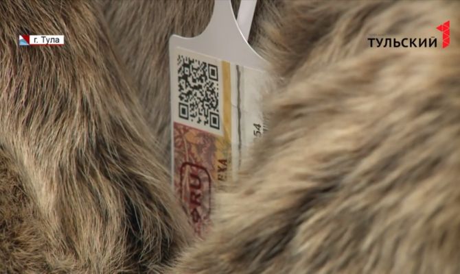 Уникальный код поможет тулякам узнать о товарах все