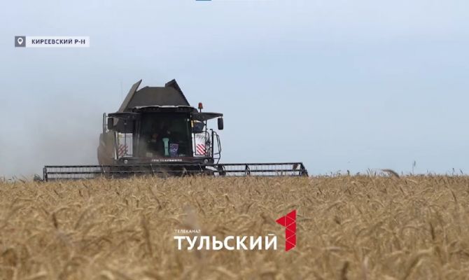 Стала известна средняя зарплата аграриев в Тульской области в 2025 году