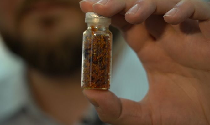 В Туле ученые нашли альтернативу нефти для производства пластмассы и лекарств