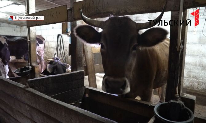 Подорожает ли «молочка»:  на товары вводят электронную сертификацию