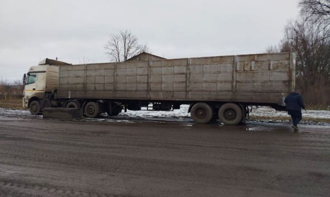 В Курской области водитель из Тулы пытался нелегально провезти 24 коровы