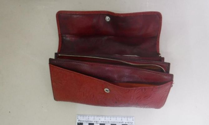 В Мордовии жертва преследовала туляка за кражу 1 доллара США