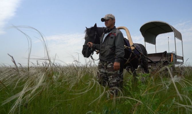 Как ученые восстанавливают на Куликовом поле исторический пейзаж