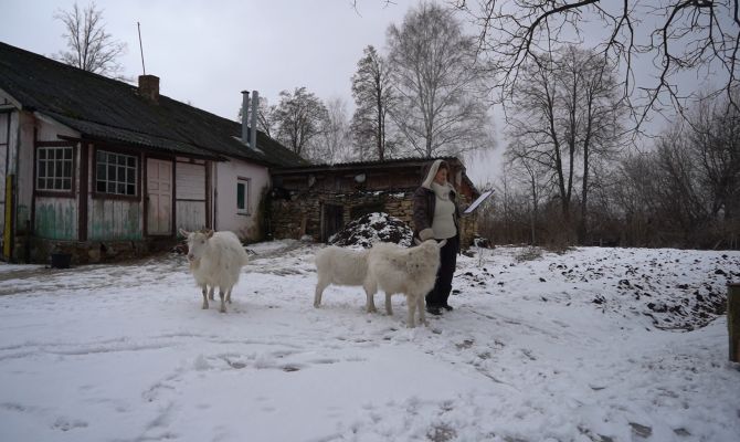 Козы как двигатель подсобного хозяйства: пенсионерка из Ефремова получит от государства 200 тысяч рублей