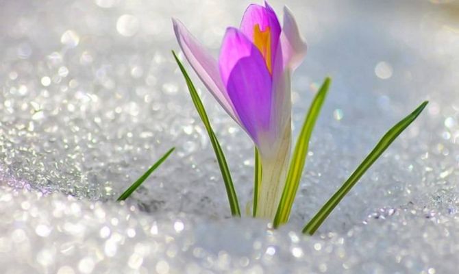 Какие погодные аномалии ждут россиян в 2018 году