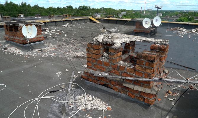 В квартире тулячки от сырости выросли грибы