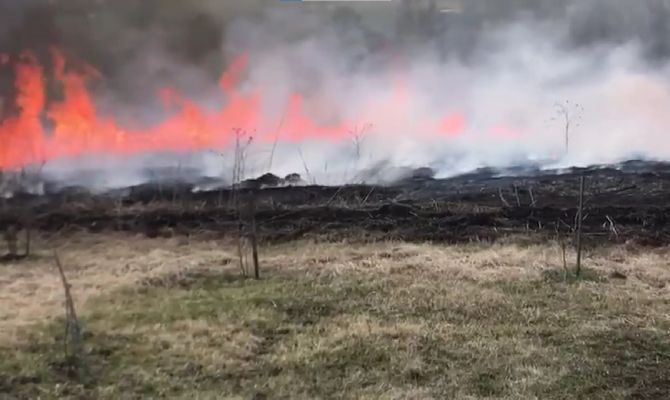 Под Плавском недалеко от жилых домов вспыхнула трава