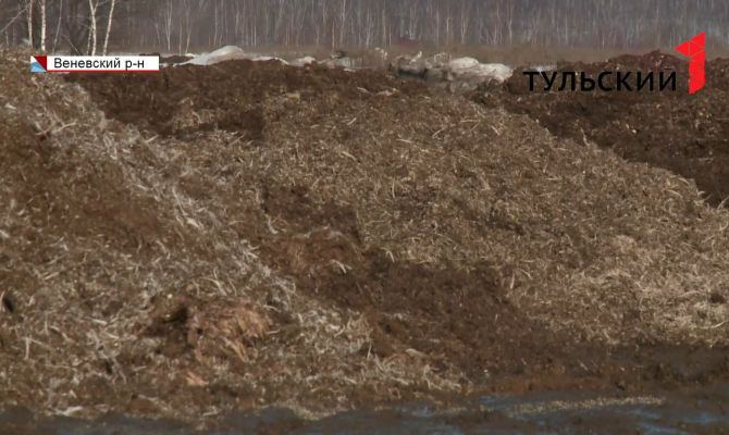 Жители Веневского района жалуются на запах дохлых кур