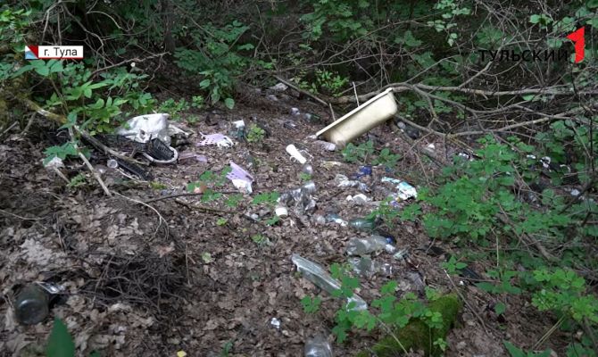 В тульском поселке Барсуки появилась 500-метровая несанкционированная свалка