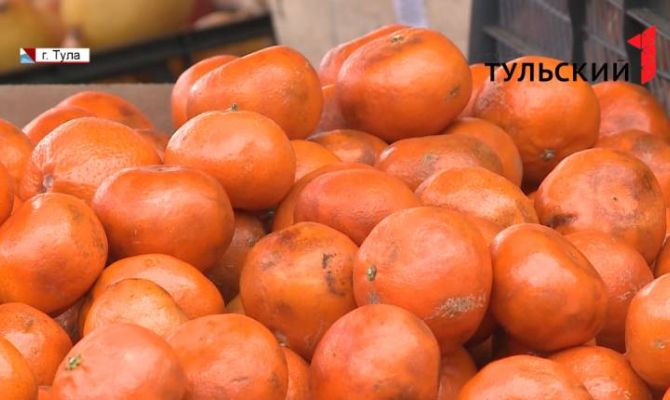 В Ясногорске нашли обломки военного самолета. РЕПОРТАЖ