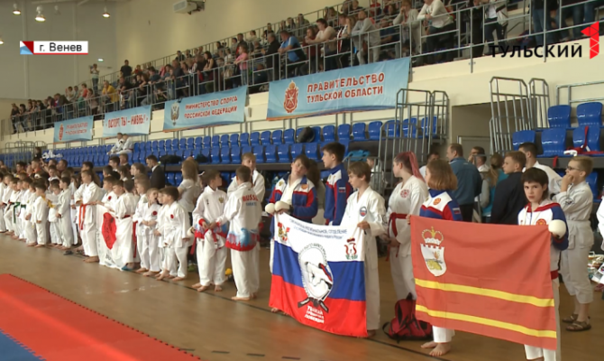 10 медалей высшего достоинства завоевали тульские каратисты