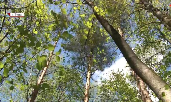 В Веневском районе поисковики помогли женщине с ребенком выйти из леса