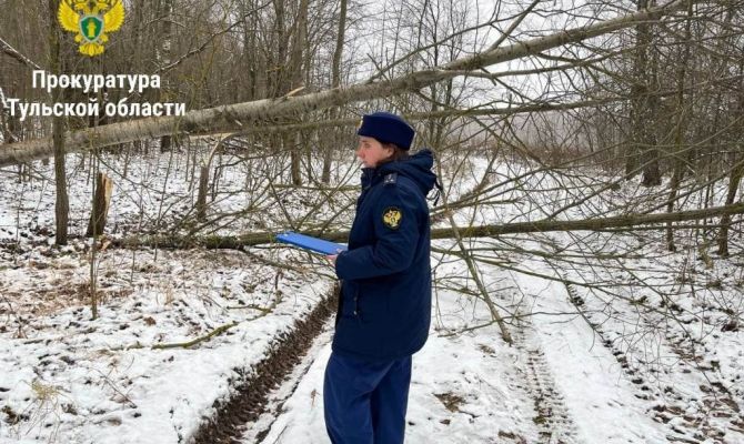 В Ленинском районе Тульской области пресекли деятельность по незаконной рубке деревьев