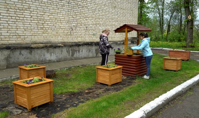 Как тулякам сделать свой дачный участок, улицу или даже город красивее
