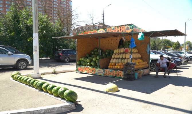 От места до документов: как тулякам правильно выбрать арбуз или дыню